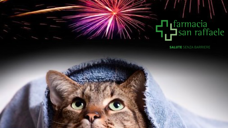 New Year's Eve fireworks: how to help our animal friends