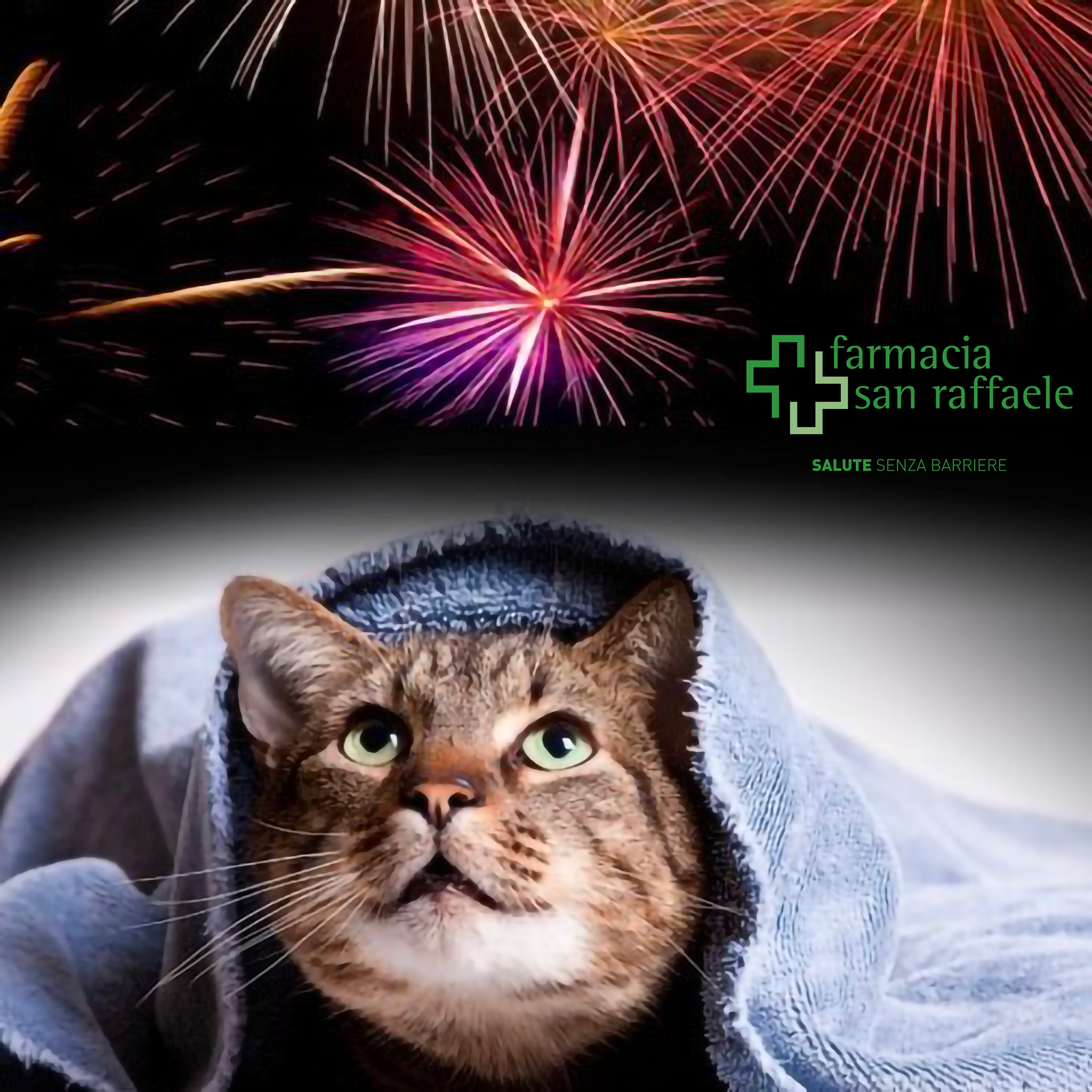 New Year's Eve fireworks: how to help our animal friends