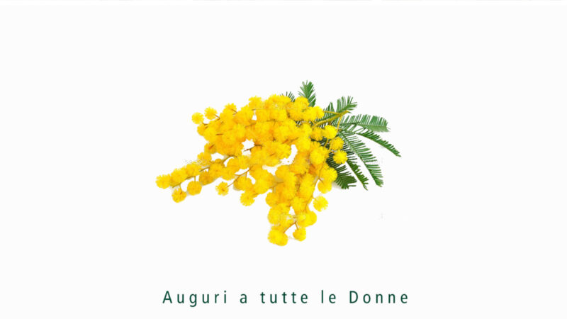 Auguri a tutte le Donne