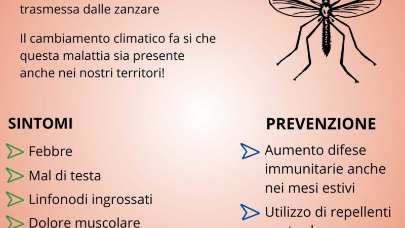 Dengue: forse una malattia non più tropicale