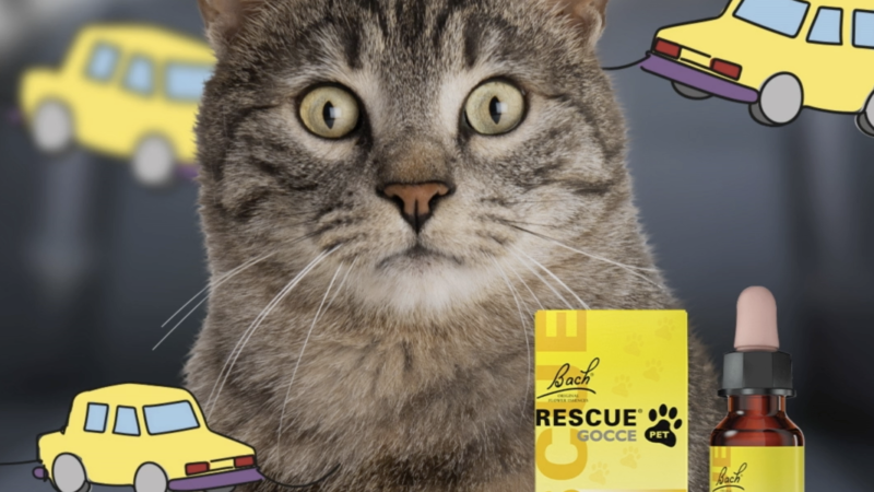 Con RESCUE® Pet la serenità dei nostri amici pelosetti non va in vacanza